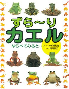 ずら～りカエル ならべてみると…