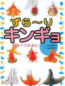 ずら～りキンギョ ならべてみると…