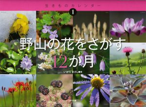 野山の花をさがす12か月