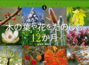 木の葉や花をたのしむ12か月