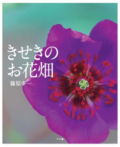 きせきのお花畑