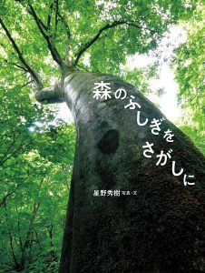 森のふしぎをさがしに