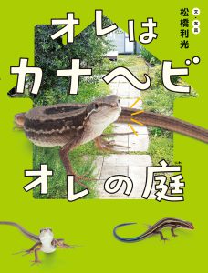 オレはカナヘビ　オレの庭